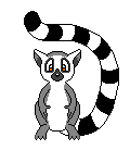 Lemur.