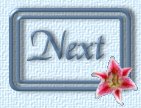 Next.