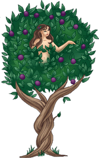 Dryad.