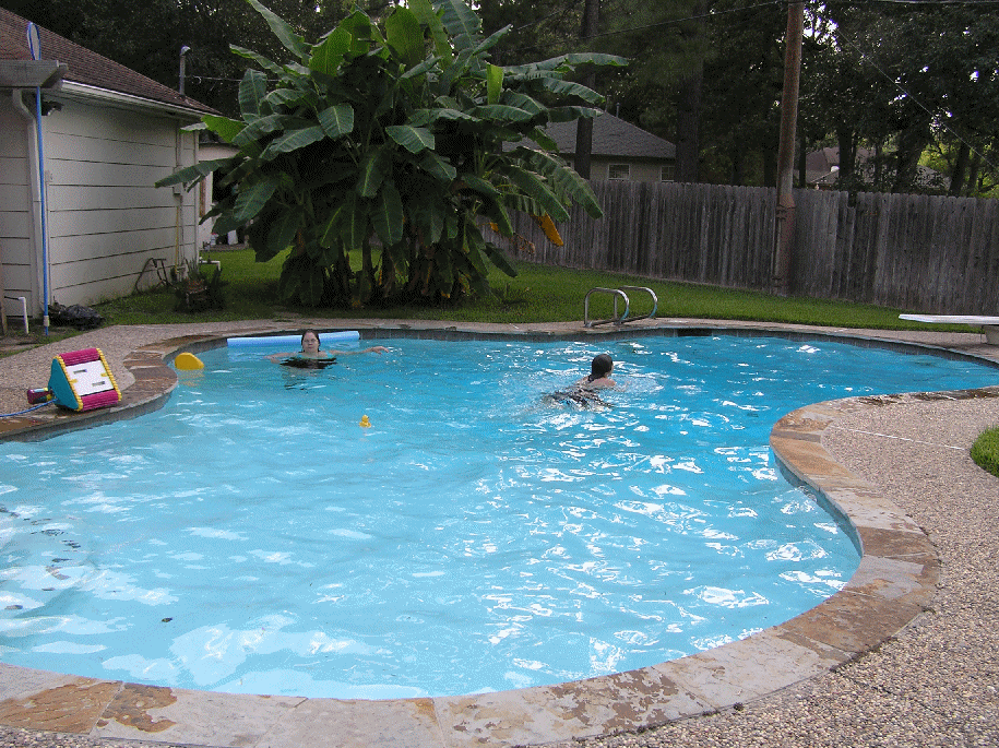 Pool Pics August